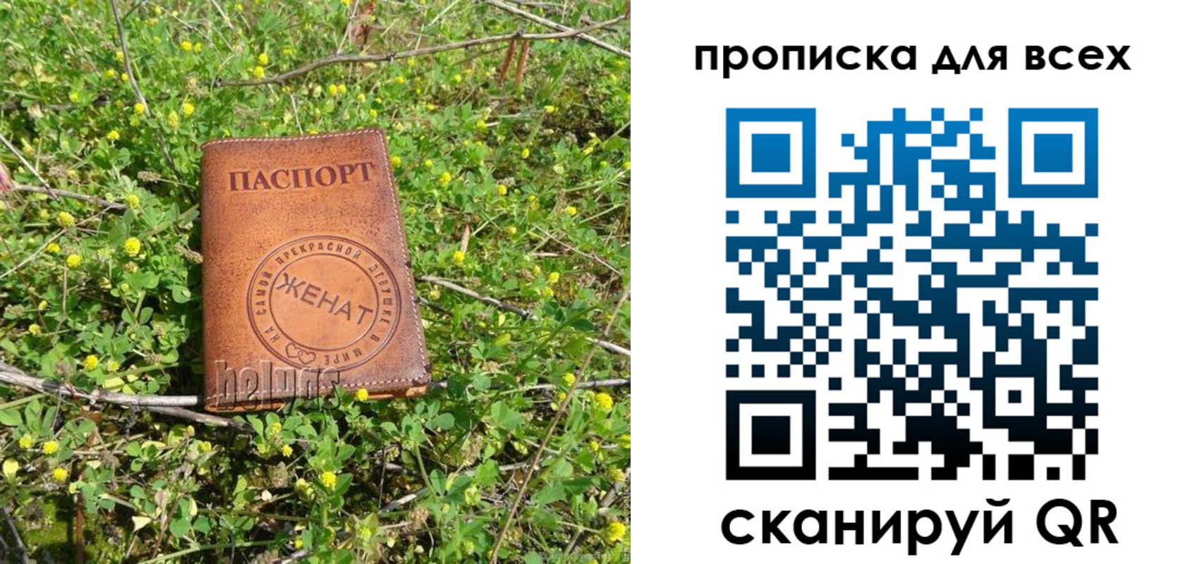прописка поиск в Ужуре
